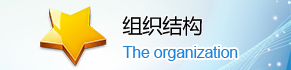 組織結構
